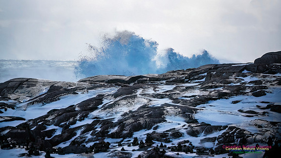 February 17 Gale 126