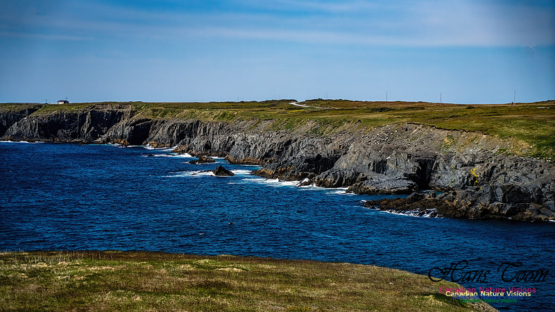 Cape Race 128