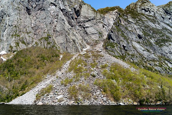 Western Brook Pond 145