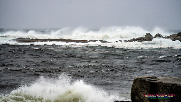 Nova Scotia Gale 2024-09-07 168