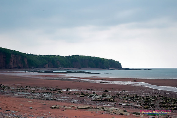 Chignecto Provincial Park
