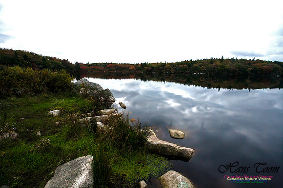 FallColours2012-67
