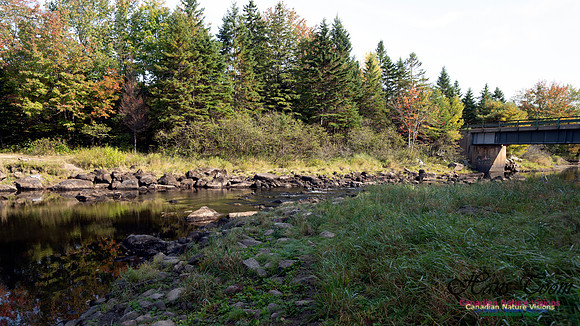 First Fall Photos Nova Scotia 100