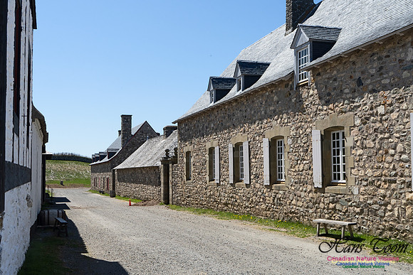Fortress of Louisbourg 129