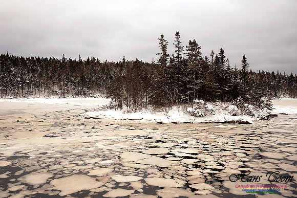 Sambro Head