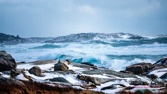 February 17 Gale 123