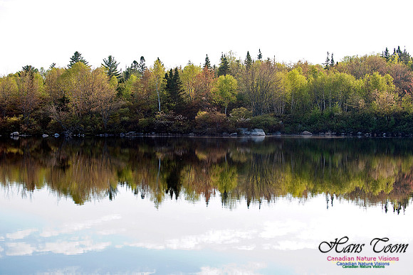 Round Lake Reflection