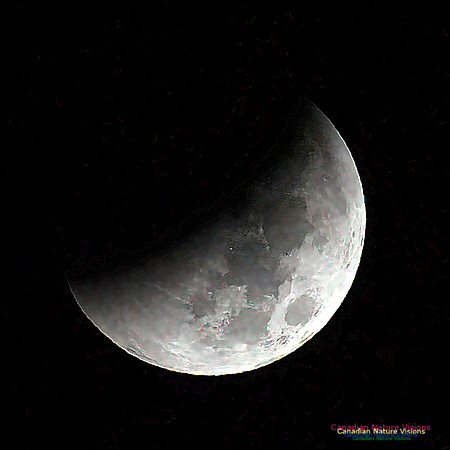 Lunar Eclipse 2022 107