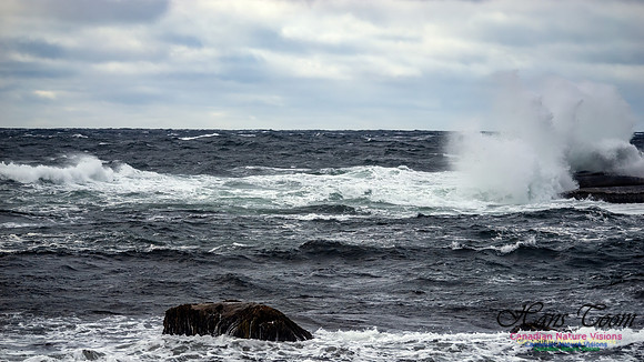 November Gale 3 113