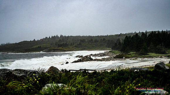 Nova Scotia Gale 2024-09-07 114