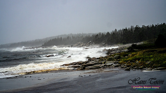 Nova Scotia Gale 2024-09-07 128