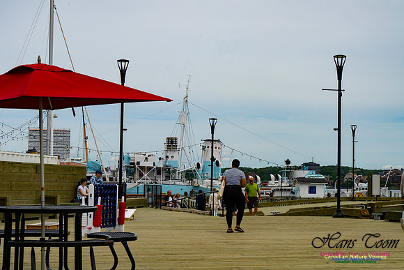Halifax Waterfront Stroll 129