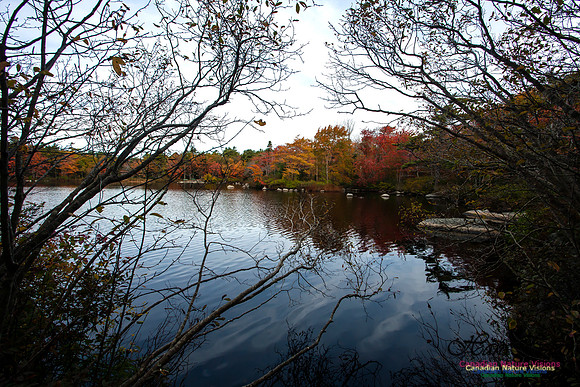 Sir Sanford Fleming Park