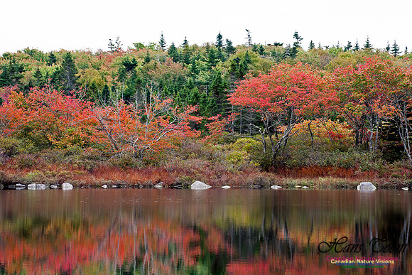FallColours2012-65