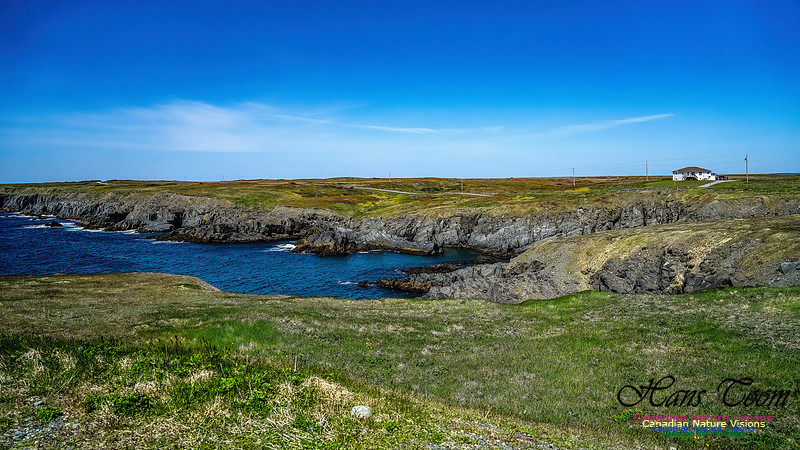 Cape Race 131