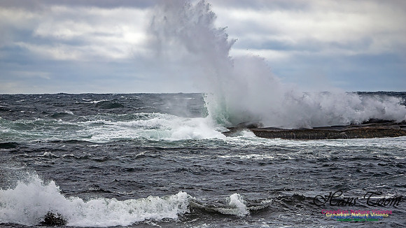 November Gale 3 111
