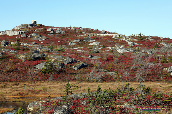 CoastalBarrensFall2016-1016