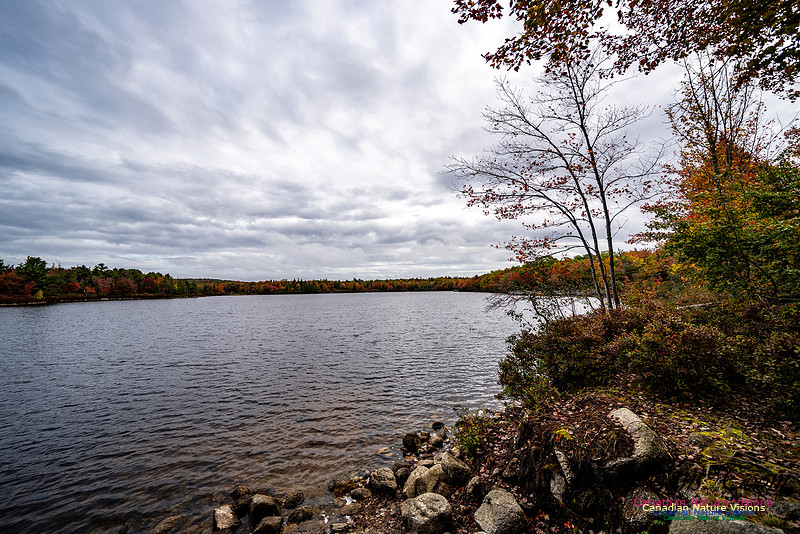 More Early Fall Photos in Nova Scotia 224