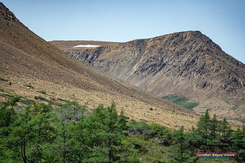Table Mountains 105