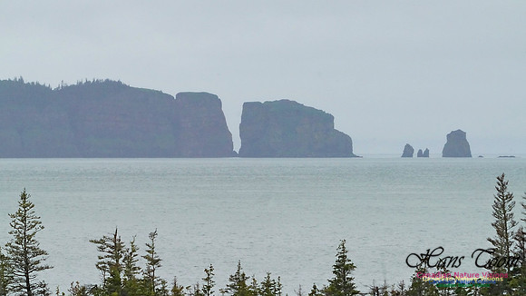Cape Split 222