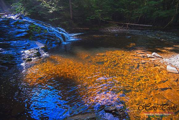 Butchers River