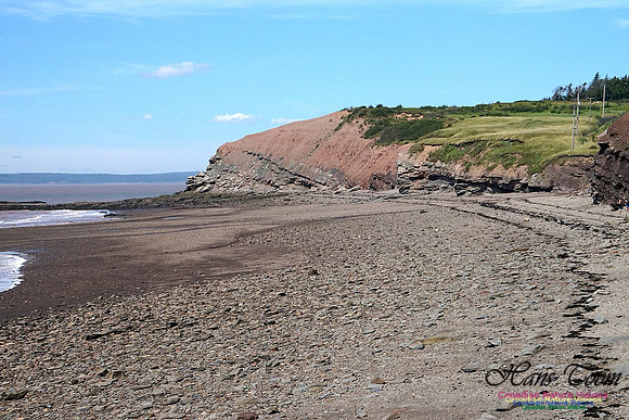 Joggins Fossil Cliffs 101