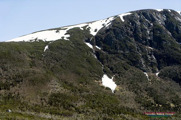 Western Brook Pond 114