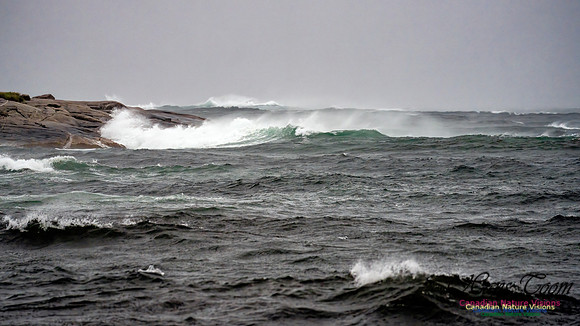Nova Scotia Gale 2024-09-07 182