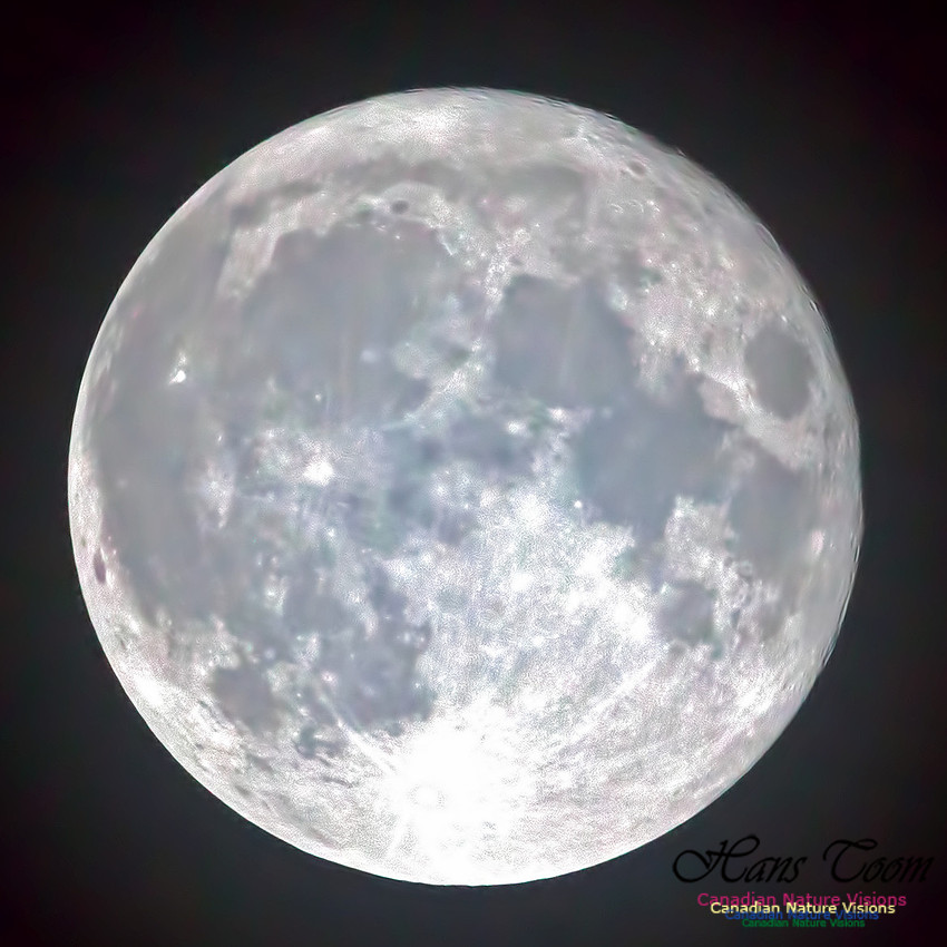 Supermoon2016(0)-1000