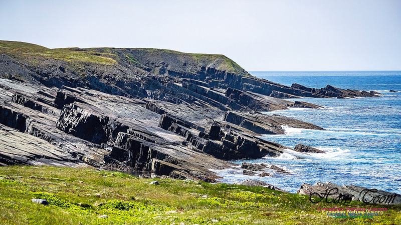 Cape Race 106