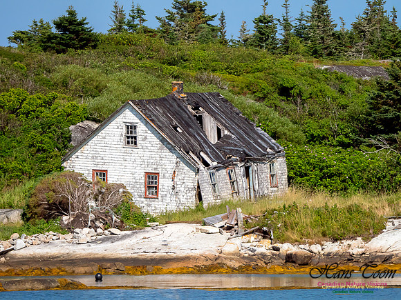 Lower Prospect Coastal Home 2
