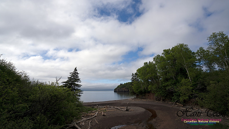 Cape d'Or 101