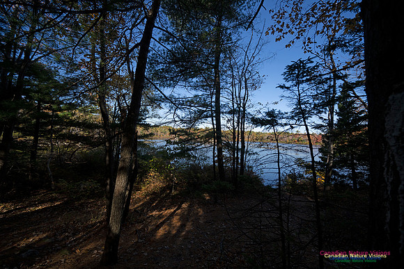 Frog Pond Stroll 106