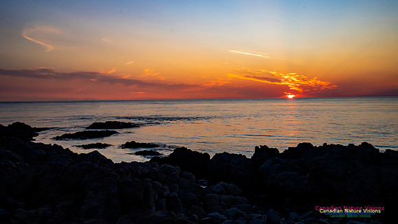 Brier Island Sunset 102
