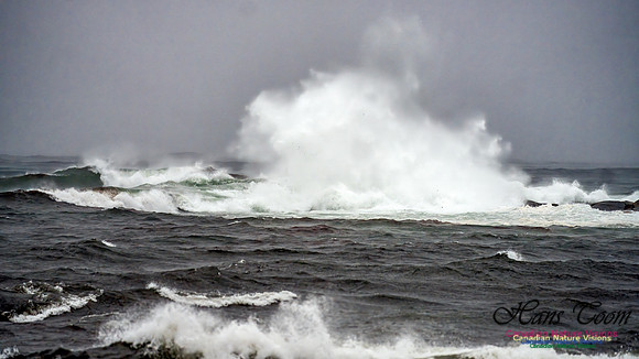Nova Scotia Gale 2024-09-07 139