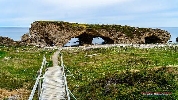 The Arches 104