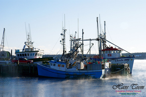 Fishing Fleet at Sambro Harbour