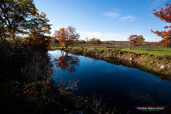 FallColours2012-76