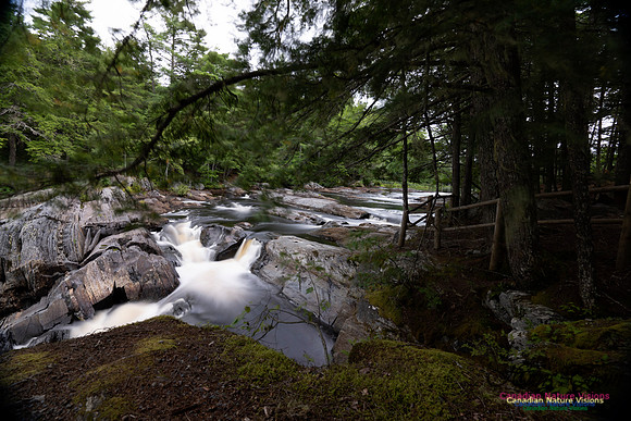 Living Water 109