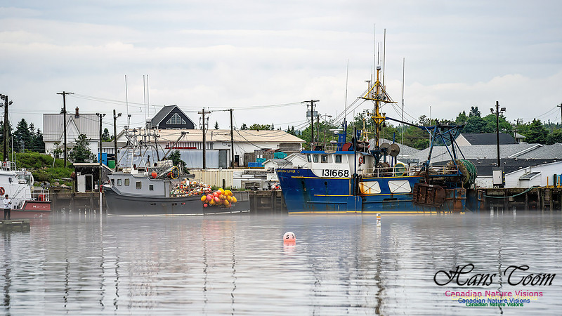 Harbour Traffic 101
