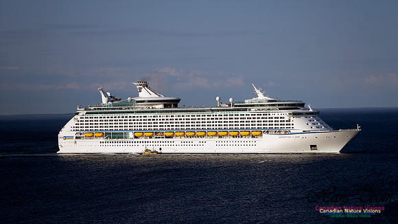 Adventure of the Seas 109