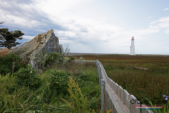 Cape Sable Light 114