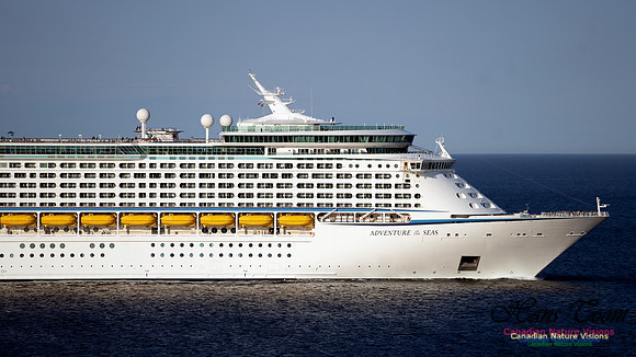 Adventure of the Seas 107