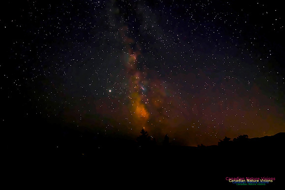 Milky Way 302