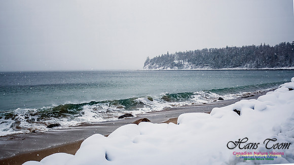 December Snow Scenes in Nova Scotia 127