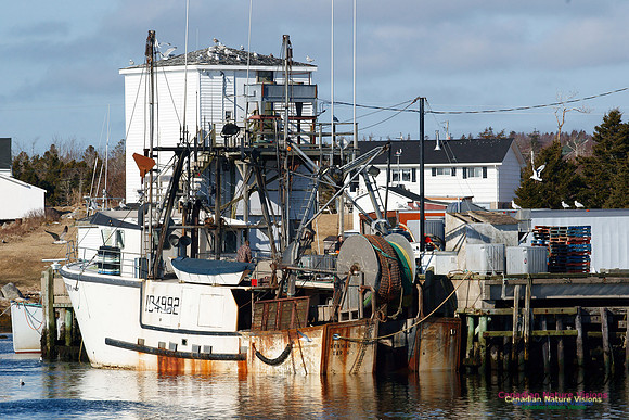 Sambro Harbour