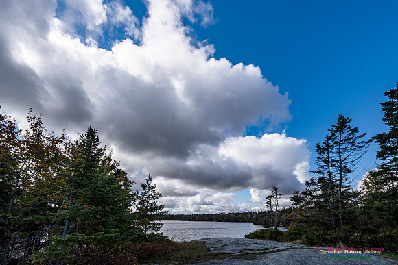 Sambro Loop 115