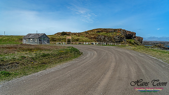 Twillingate 105