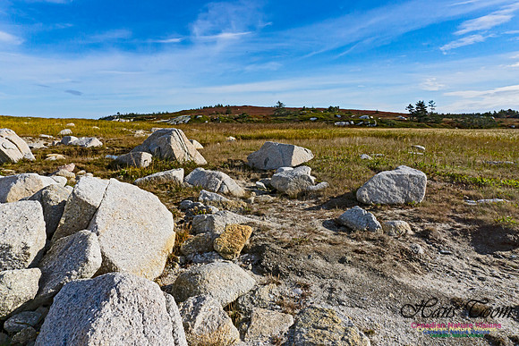 Another Morning Stroll on the Coastal Barrens 102