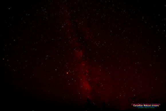Milky Way 301